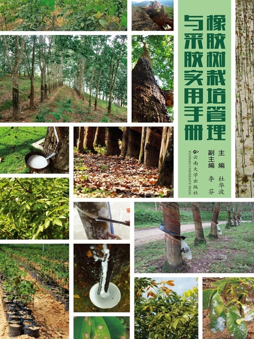 Cover image for 橡胶树栽培管理与采胶实用手册 (Handbook for Rubber Tree Cultivation and Propolis Collection)